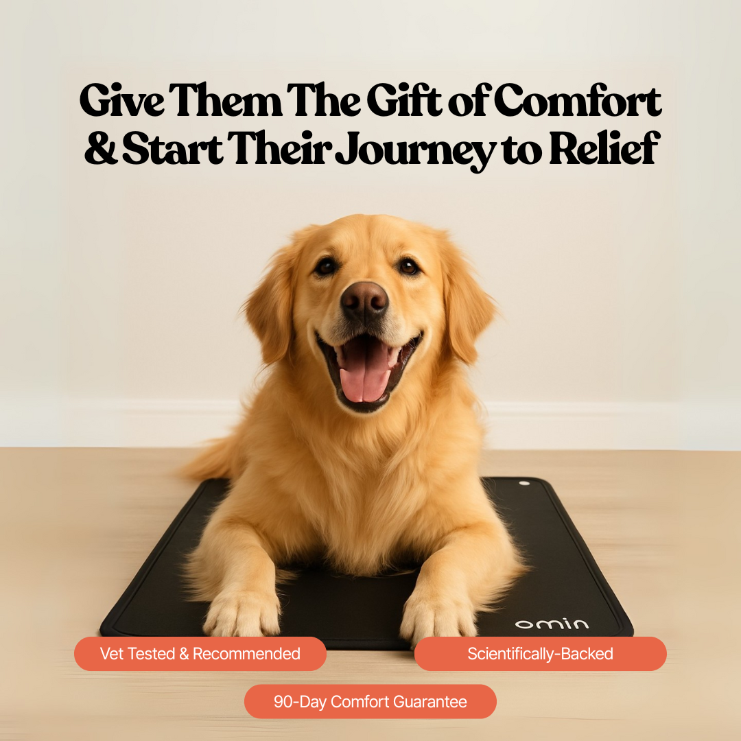 Protect your dog from joint pain and restless nights with Omin