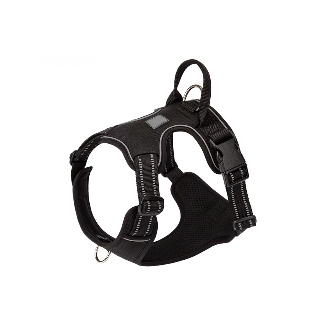 Protect Your Dog's Neck & Spine From Permanent Damage