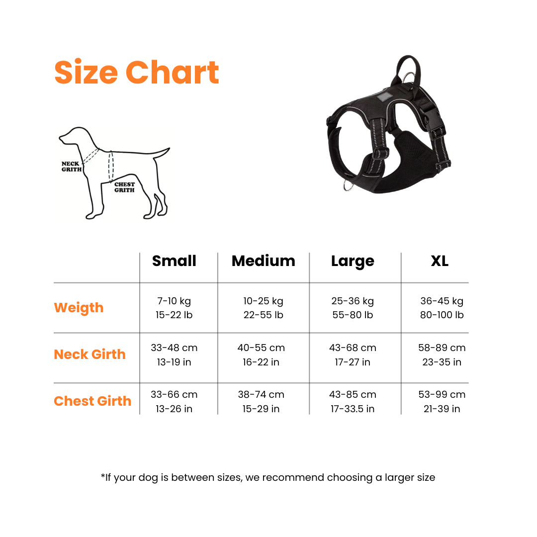 Protect Your Dog's Neck & Spine From Permanent Damage