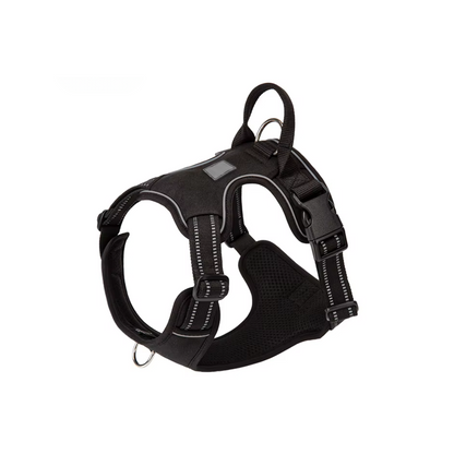 Protect Your Dog's Neck & Spine From Permanent Damage