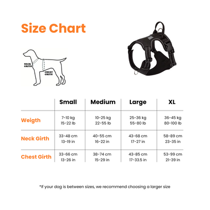 Protect Your Dog's Neck & Spine From Permanent Damage